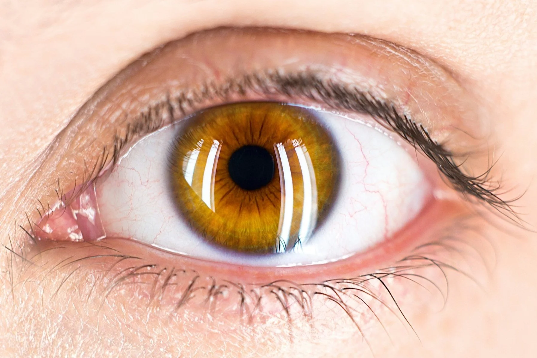 Close-up of an amber eye